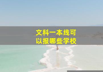 文科一本线可以报哪些学校