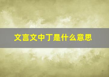 文言文中丁是什么意思