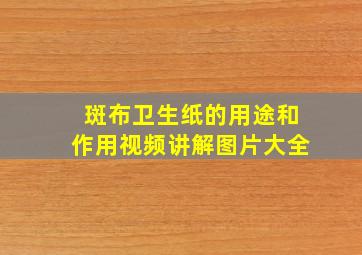 斑布卫生纸的用途和作用视频讲解图片大全