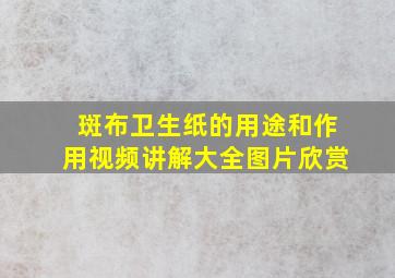 斑布卫生纸的用途和作用视频讲解大全图片欣赏