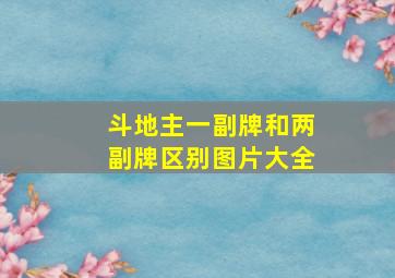 斗地主一副牌和两副牌区别图片大全