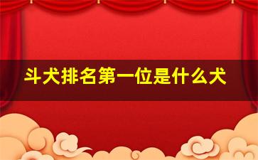 斗犬排名第一位是什么犬