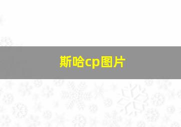 斯哈cp图片