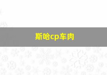 斯哈cp车肉