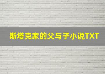 斯塔克家的父与子小说TXT