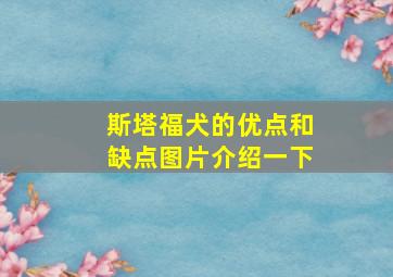 斯塔福犬的优点和缺点图片介绍一下