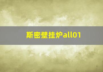 斯密壁挂炉all01