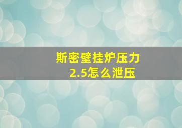 斯密壁挂炉压力2.5怎么泄压