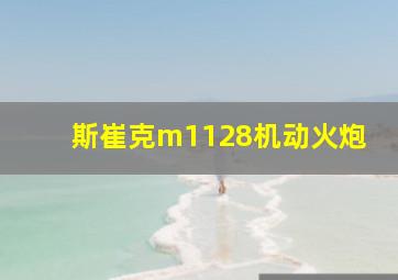 斯崔克m1128机动火炮