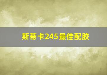 斯蒂卡245最佳配胶