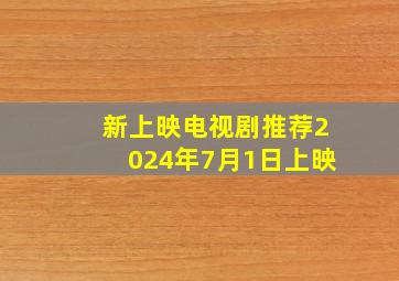 新上映电视剧推荐2024年7月1日上映