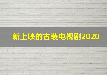 新上映的古装电视剧2020