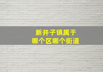 新井子镇属于哪个区哪个街道