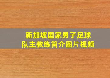 新加坡国家男子足球队主教练简介图片视频