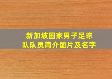 新加坡国家男子足球队队员简介图片及名字