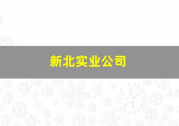 新北实业公司