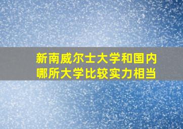 新南威尔士大学和国内哪所大学比较实力相当