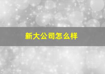 新大公司怎么样