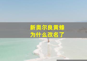 新奥尔良黄蜂为什么改名了