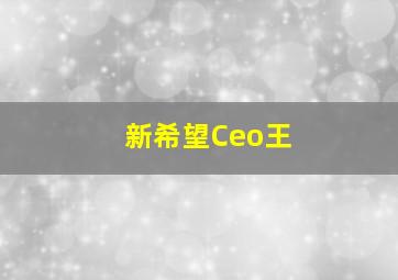 新希望Ceo王