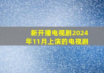 新开播电视剧2024年11月上演的电视剧