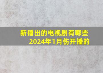 新播出的电视剧有哪些2024年1月伤开播的