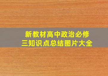 新教材高中政治必修三知识点总结图片大全