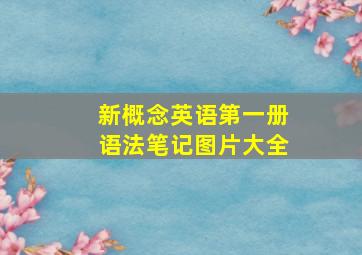 新概念英语第一册语法笔记图片大全