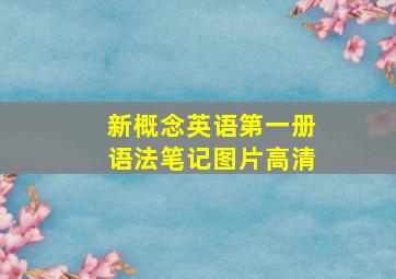 新概念英语第一册语法笔记图片高清