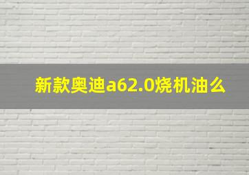 新款奥迪a62.0烧机油么