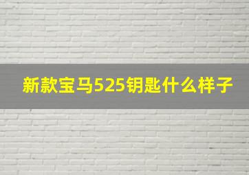 新款宝马525钥匙什么样子