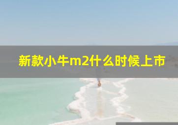 新款小牛m2什么时候上市