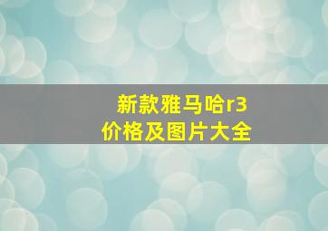 新款雅马哈r3价格及图片大全