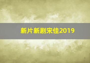 新片新剧宋佳2019