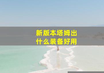 新版本塔姆出什么装备好用