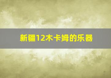 新疆12木卡姆的乐器