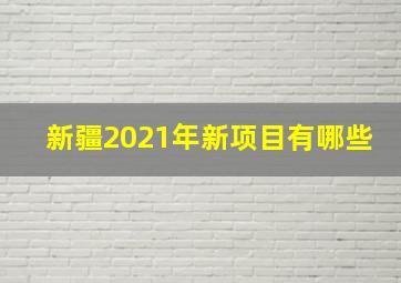 新疆2021年新项目有哪些