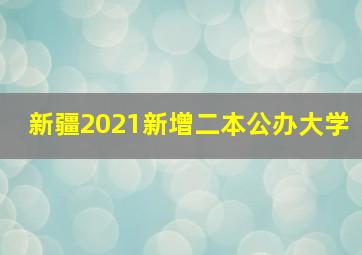 新疆2021新增二本公办大学