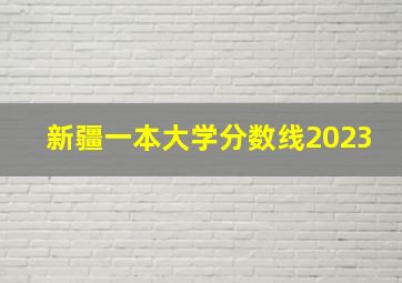 新疆一本大学分数线2023