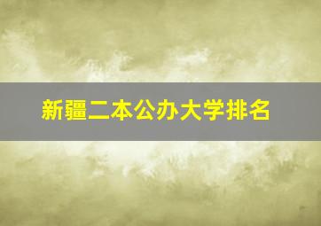 新疆二本公办大学排名