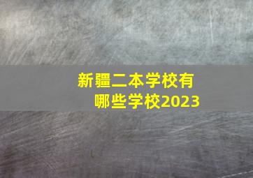 新疆二本学校有哪些学校2023