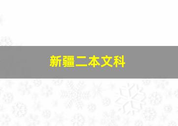 新疆二本文科