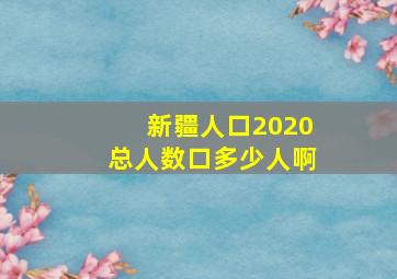 新疆人口2020总人数口多少人啊