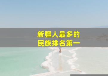 新疆人最多的民族排名第一