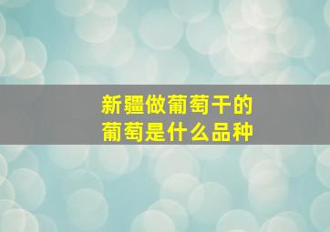 新疆做葡萄干的葡萄是什么品种