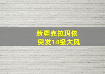 新疆克拉玛依突发14级大风