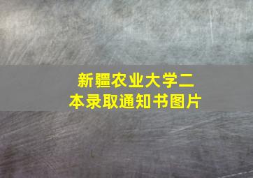 新疆农业大学二本录取通知书图片