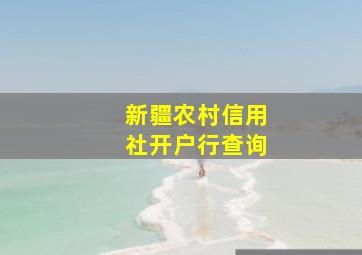 新疆农村信用社开户行查询