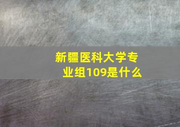 新疆医科大学专业组109是什么