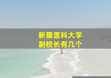 新疆医科大学副校长有几个